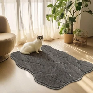 BSICPRO Dog Door Mat for Muddy Paws, 2x3 Highly Soft 2' x 3', Grey - Picture 1 of 6