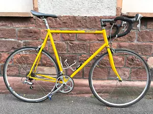 Rennrad 28 zoll Fahrrad Bianchi Fodardo Shimano Unisex Racing Bicycle 14 Gänge - Bild 1 von 24