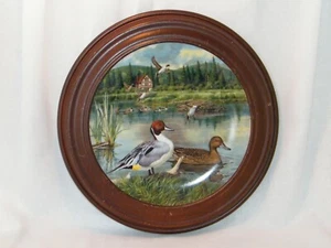 The Pintail Living w/Nature Jerner's Ducks Collection Knowles China Plate &Frame - Picture 1 of 6