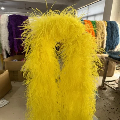 Mantón boa pluma avestruz 2M de lujo 6 capas increíble accesorio de actuación de baile Foto 1 de 4