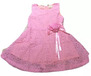 NWT GIRLS Princess Pink Floral Lace Summer Spring Wedding Party Dress 3T 4T 5 - Picture 1 of 5