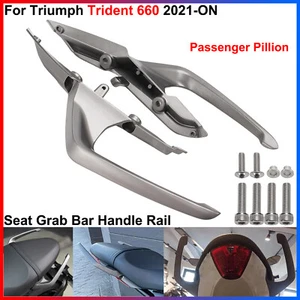 Para Triumph Trident 660 2021-ON 2022 - Asiento trasero pasajero barra manija riel - Imagen 1 de 19