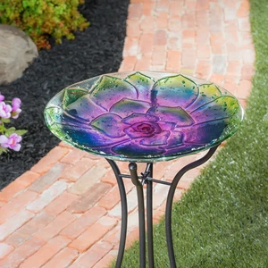 18" Hand Painted and Embossed Pebble Glass Bird Bath, Conchita Succulent - Picture 1 of 3