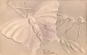 EMBOSSED BUTTERFLY - 1909 - Picture 1 of 2