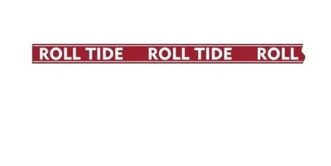 Desden Alabama Beaded Purse Strap Cover