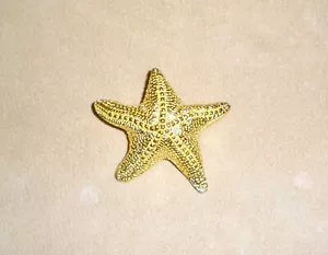 Spilla Starfish Vintage Tono Oro Firmata M, Possibilmente Monet - Foto 1 di 5