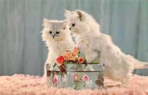 Postkarte Katzen: reinrassige silberne Perserkätzchen mit Geschenkbox & Rosen - Bild 1 von 2
