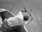 Man Leaning Over The Side Of A Boat Holds Permit Mexico 1970 Old Fishing Photo