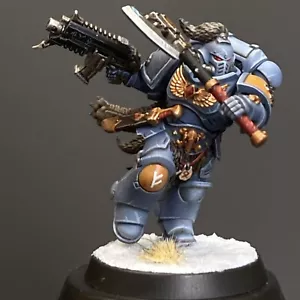 Space Wolves Haloor Icepelt Space Marines Warhammer 40K Presale Painted Gallery - Picture 1 of 5