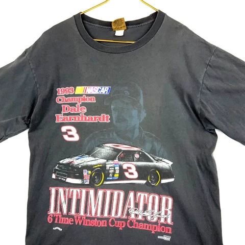 Vintage Dale Earnhardt 1993 Champion Nutmeg T-shirt Large Nascar Single Stitch Cover