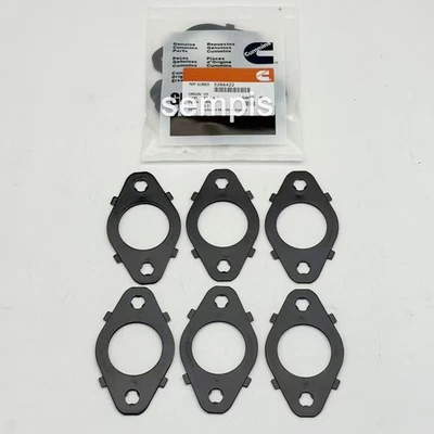 6X Juntas de colector de escape 5266422 para Dodge Ram Cummins 1998-15 5,9 L 6,7 L 24 V Foto 1 de 3