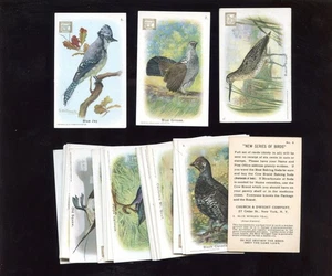 1908 Church & Dwight New Series of Birds Complete Set of 30 NRMT - Picture 1 of 1