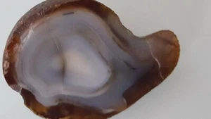  Beautiful Brazilian Agate with nice agate banding, great pattern & color  - Picture 1 of 4