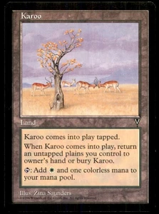 MTG Karoo LP Light Play Visions [4431] - Picture 1 of 1