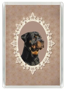 ROTTWEILER SCHÖNER KOPF STUDIE HUND KUNSTDRUCK NEUHEIT KÜHLSCHRANKMAGNET TOLLES GESCHENK - Bild 1 von 1