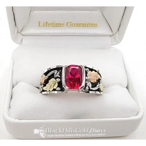 Black Hills Gold Sterling Silver Men’s Ring Synth Ruby Size 9.5 FAST SHIPPING - Picture 1 of 3