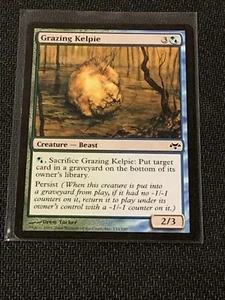 Magic the Gathering Eventide Grazing Kelpie - Picture 1 of 2
