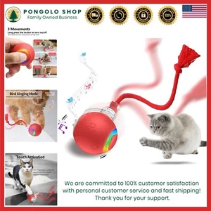 Interactive Cat Toys Set USB Rechargeable Moving Motion-Activated Cat Toy - Picture 1 of 10