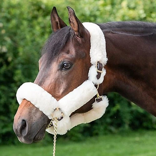 Perri's Perris Sheepskin Shipping Halter - Image 1 of 1