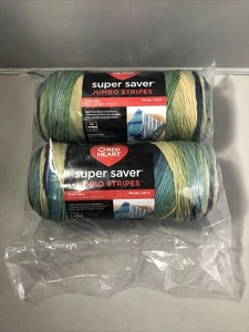 Hilo Red Heart Super Saver Jumbo Azul Verde - Paquete de 2 de 10 oz/283 g - Acrílico - Imagen 1 de 7