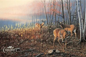 New Growth Whitetail Deer By Jim Kasper Vtg Wild Wings Collection Art Postcard  - Picture 1 of 2