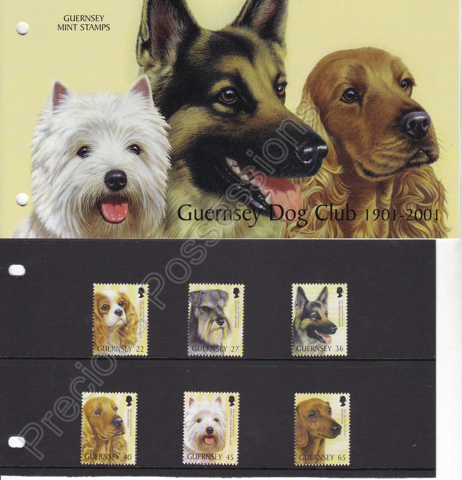 Guernsey Presentation Pack 2001 GUERNSEY DOG CLUB SG 895-900 - Image 1 of 1