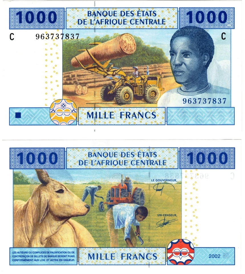 2022 (2002) Central African States Banknote P607 ce 1000 Francs Chad - Image 1 of 1