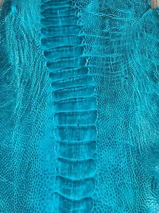 GENUINE OSTRICH LEG SKIN LEATHER HIDE EXOTIC LEATHER - Picture 1 of 6