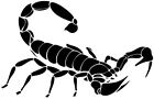 Scorpion Car, Landrover, 4wd Sticker Graphic Decal 