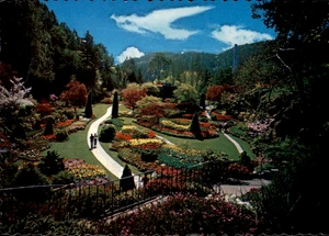 Postcard The Sunken Garden The Butchart Gardens Victoria BC Canada Aerial View - Picture 1 of 2