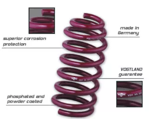 2015-Present Mustang GT Vogtland Sport Plus Lowering Springs - Bild 1 von 1