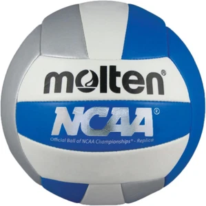 Recreational Volleyball - Picture 1 of 11