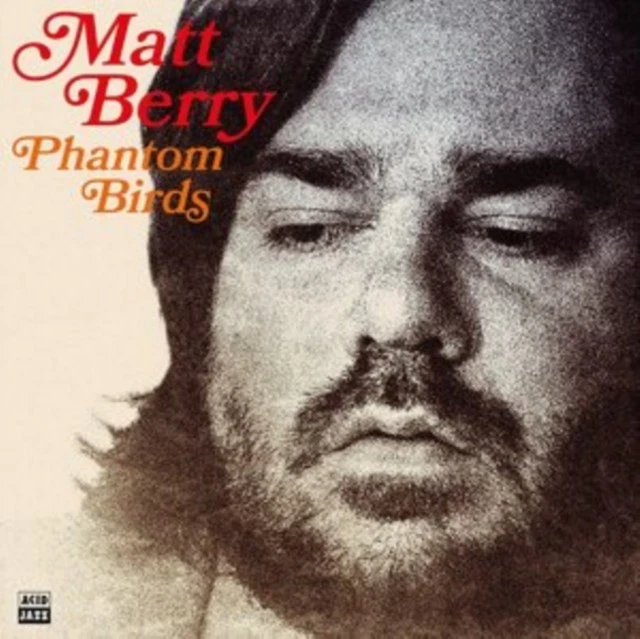 MATT BERRY - PHANTOM BIRDS NEW VINYL RECORD Foto 1 de 1