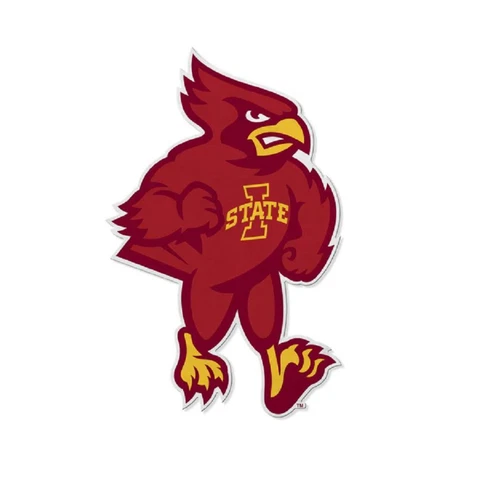 Iowa State Cyclones 18"x18" Mascot Felt Pennant [NEW] NCAA Sign Banner Wall Cave Cover