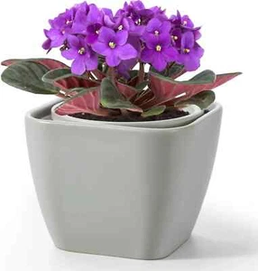 African Violet Pot Self Watering Ceramic Planter Pots, Easy Self Watering Plante - Picture 1 of 7