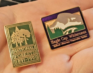 National Forest 1891-1991 & Eagle Cap Wilderness Society Hat Lapel Pins - Picture 1 of 10