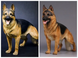 Mr.Z 1:6 German Shepherd Dog Animal Resin Simulation Statue Figure Ornament Toy - Picture 1 of 11
