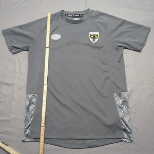 AFC Wimbledon Umbro Training Top Uomo M Grigio Maglia Calcio Poliestere - Foto 1 di 11