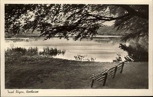 Insel Rügen DDR s/w Ansichtskarte 1956 Partie am Herthasee Partie am Ufer Bank - Picture 1 of 2
