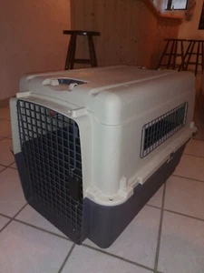 Hundetransportbox - Bild 1 von 6