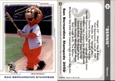 Bernie 2002 Grandstand San Bernardino Stampede #NNO Card *AutographDen*