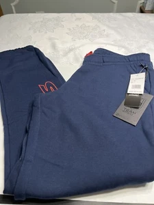 NWT NFL Apparel Houston Texans Navy Blue Joggers Sweatpants Size Large - Picture 1 of 13