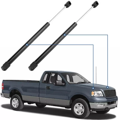 For 1995-2003 Ford F-150 F-250 Qty 2 Front Hood Lift Supports Shocks Struts Foto 1 de 4