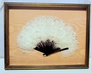 Vintage Art Deco Ostrich Feather Fan in Shadow Box Frame. c1920 - Picture 1 of 5