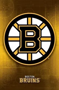 BOSTON BRUINS ~ LOGOTIPO DE PISTA 22x34 PÓSTER Liga Nacional de Hockey NHL ¡NUEVO/ENROLLADO! - Imagen 1 de 1