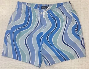 Swim Surf Mens Hollister Blue Stripes Drawstring Board Shorts Pockets Size Med - Picture 1 of 5