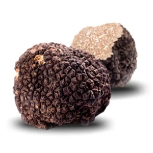 Centro Tartufi Molise Fresh Italian Black Autumn Truffles, Burgundy Truffles - Picture 1 of 10