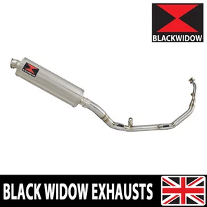 CB125R Neo Sports Cafe 2021-2023 Exhaust System Oval Silencer End Can 400SS - Picture 1 of 6
