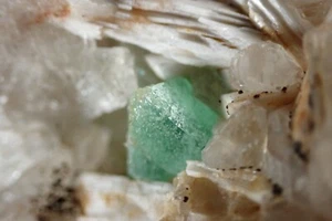 FLUORITE * FINE OCTAHEDRON ON CALCITE + LAUMONTITE !!! Litice, CZECH REPUBLIC - Picture 1 of 15