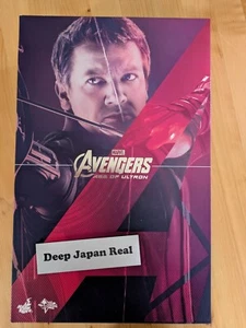 Hot Toys Hawkeye Jeremy Renner Avengers Age of Ultron MMS289 Action Figure Used - Picture 1 of 13